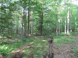 15 Chub Pond Trail - Photo 4