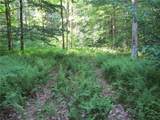 15 Chub Pond Trail - Photo 40