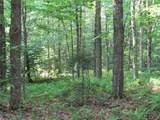 15 Chub Pond Trail - Photo 42