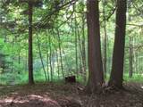 15 Chub Pond Trail - Photo 43