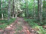 15 Chub Pond Trail - Photo 5