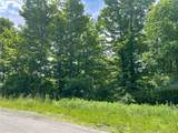 2002 Amalia Drive - Photo 2