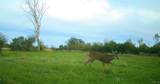 33501 Shimel Road - Photo 23