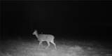 33501 Shimel Road - Photo 24
