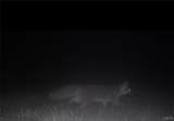 33501 Shimel Road - Photo 25