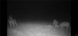 33501 Shimel Road - Photo 26