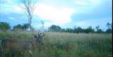 33501 Shimel Road - Photo 28