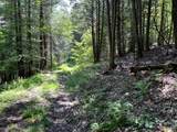 115 Hunt Hill Road - Photo 32