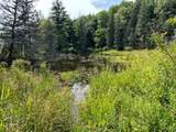 115 Hunt Hill Road - Photo 41