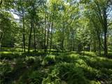 1021 Lewis Road - Photo 14