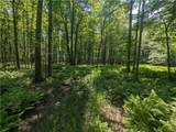 1021 Lewis Road - Photo 17