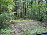 0 Fisher Trail Road - Photo 6