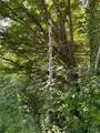 3459 County Route 176 - Photo 2