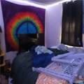 822 Oak Street - Photo 10