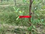 646 State Highway 3 - Photo 19