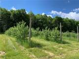 646 State Highway 3 - Photo 21