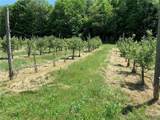 646 State Highway 3 - Photo 26