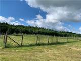 646 State Highway 3 - Photo 5