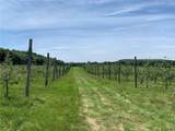 646 State Highway 3 - Photo 9