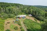 10061 Babcock Road - Photo 1