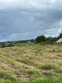 31233 Elm Ridge Road - Photo 5
