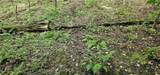 000 Ringwood Road - Photo 31