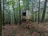 9010 Akins Road - Photo 39