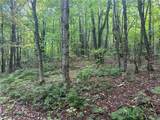 Lot 1 Bice Road - Photo 1