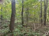 Lot 1 Bice Road - Photo 2