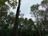 Lot 2 Bice Road - Photo 17