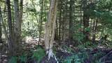 0 Mc Caw Road - Photo 11