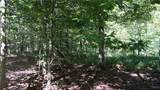0 Mc Caw Road - Photo 7