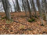 0 Co Route 22 - Photo 2