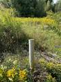 7842 State Route 3 - Photo 31