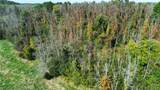00 Hickory Island - Photo 29