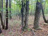 3401 Hazzard Road - Photo 13