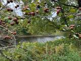 00 River Road - Photo 1