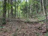 00 River Road - Photo 5
