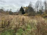  Dry Brook Road - Photo 11