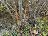  Dry Brook Road - Photo 12