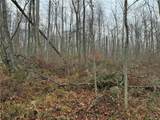  Dry Brook Road - Photo 7