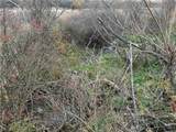  Dry Brook Road - Photo 11