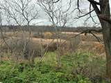  Dry Brook Road - Photo 12