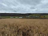  Dry Brook Road - Photo 7