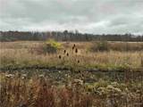  Dry Brook Road - Photo 10