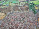 Dry Brook Road - Photo 4