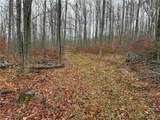  Dry Brook Road - Photo 1