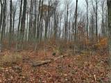  Dry Brook Road - Photo 6