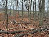  Dry Brook Road - Photo 7