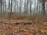  Dry Brook Road - Photo 8